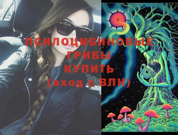 бутират Алексин