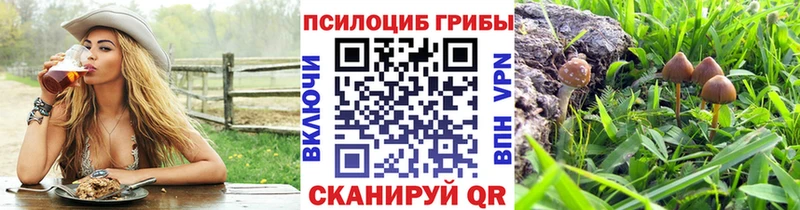 Псилоцибиновые грибы Cubensis  наркота  Шелехов 